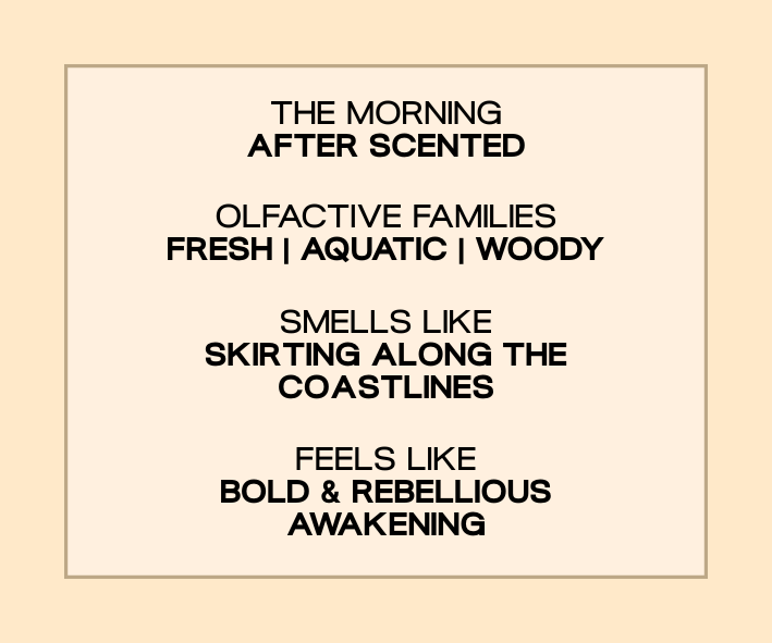 Hangovers - The Morning After Scented Candle