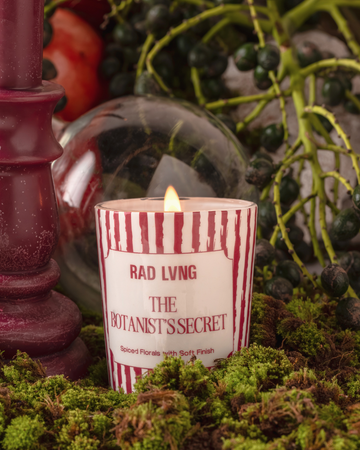 The Botanist’s Secret scented candle 100g with warm spiced floral fragrance and ambered vanilla base