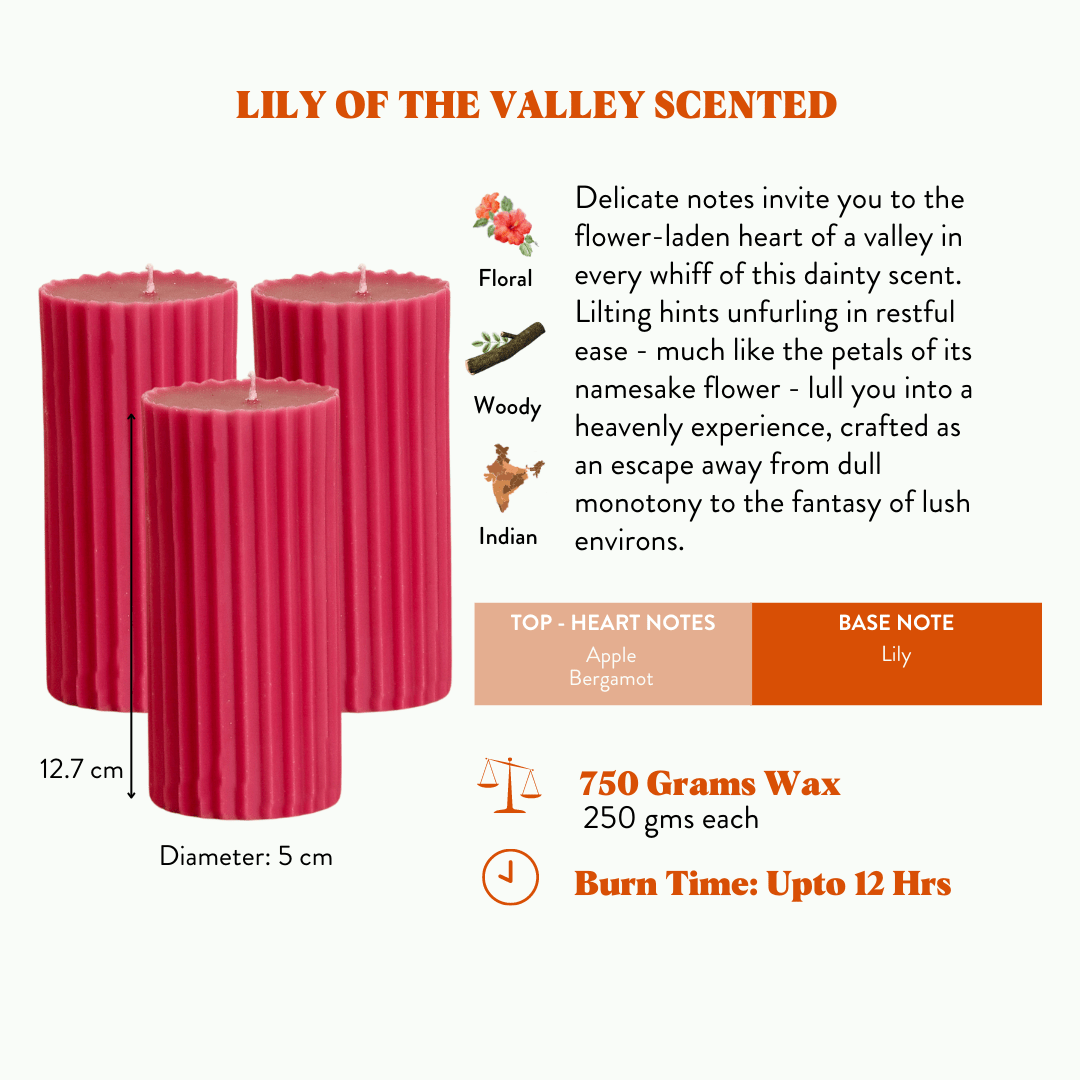 Combo of 3 Fiery Pink 'Belief' Candles - Lily of the Valley Scented