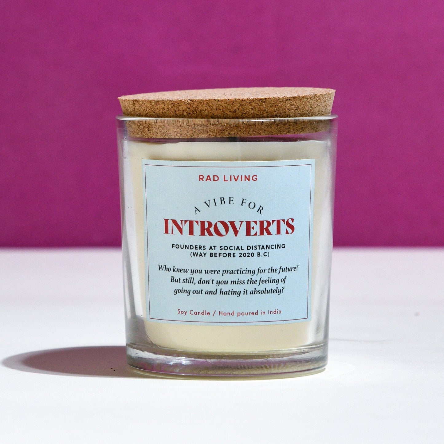 Introverts - Cinnamon Mocha Scented Candle