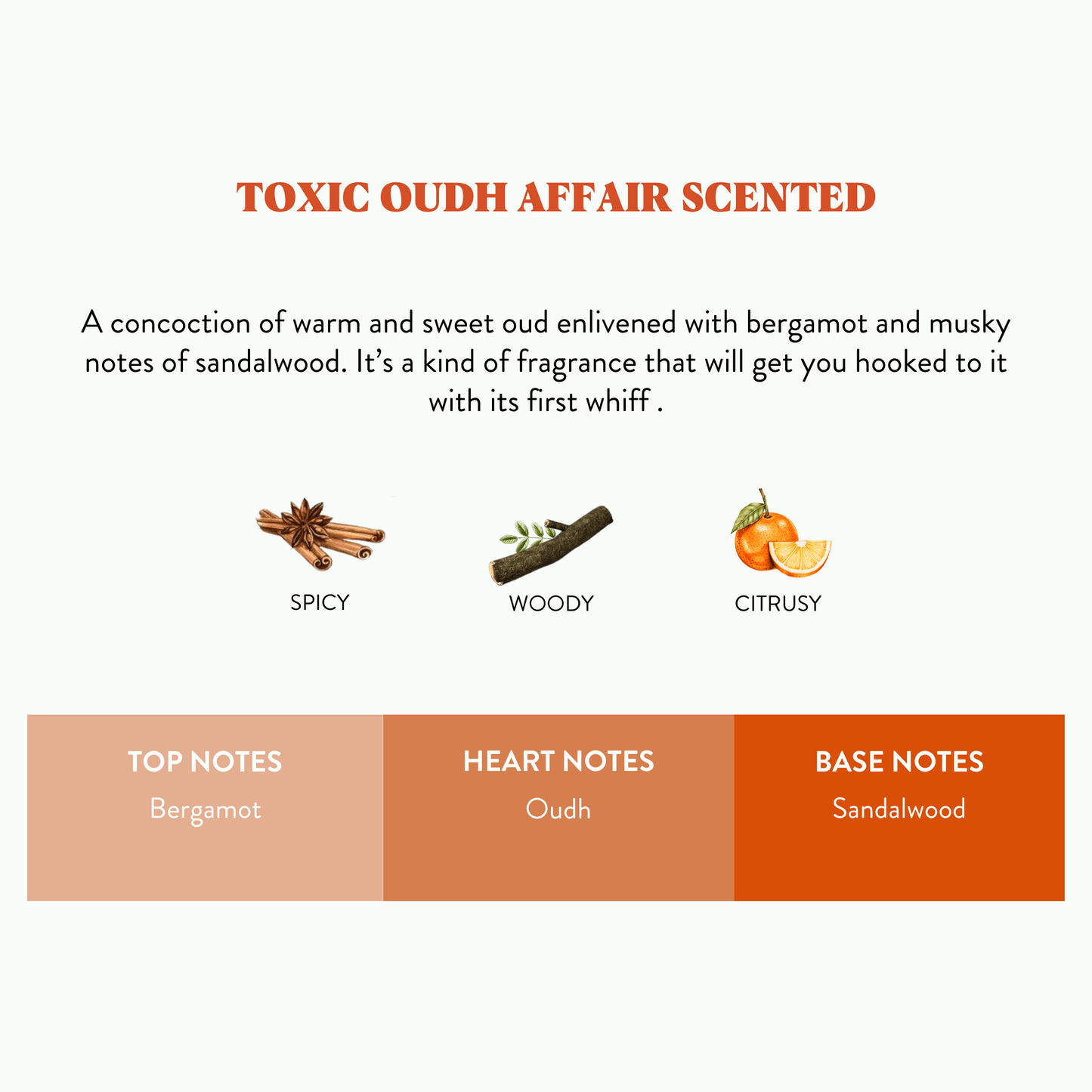 FLY #18 - Toxic Oudh Affair Scented Candle