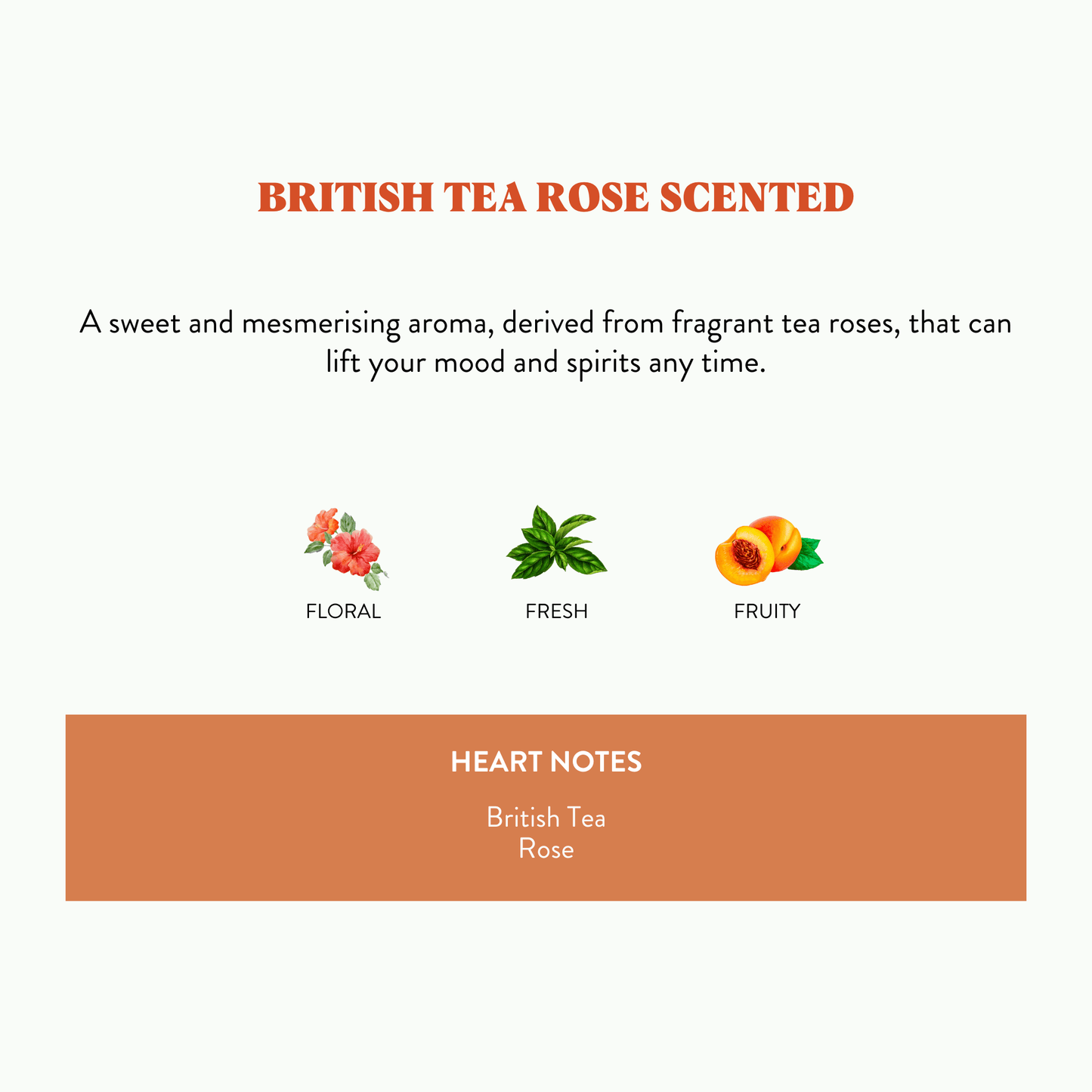 FLY #7 - British Tea Rose Scented Candle