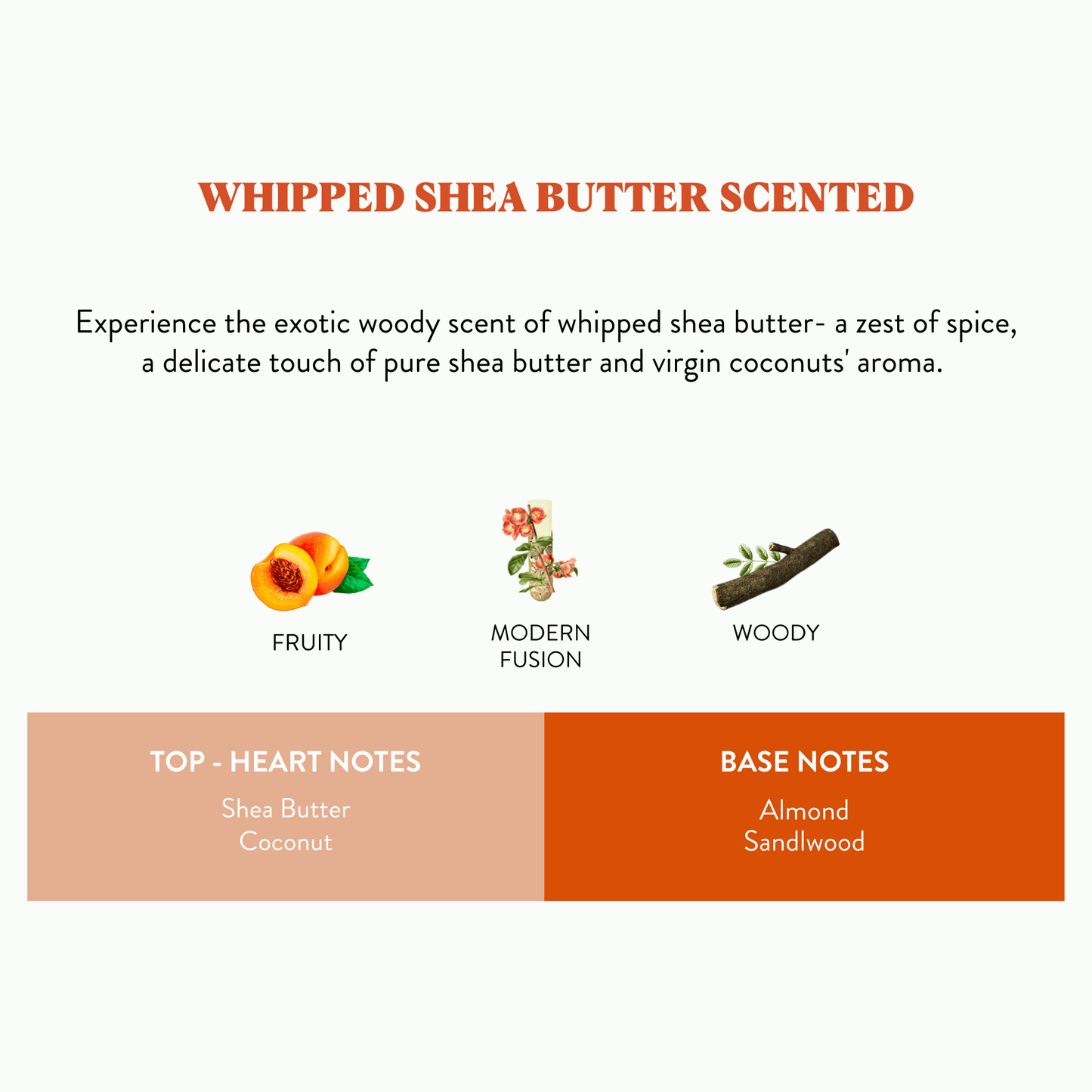 Illuminate- Whipped Shea Butter Scented 2 wick candle jar