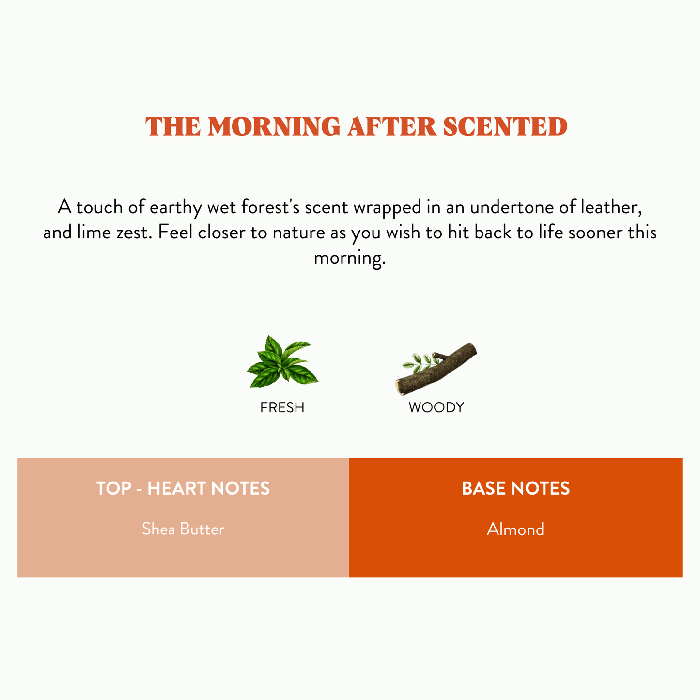 Hangovers - The Morning After Scented Candle