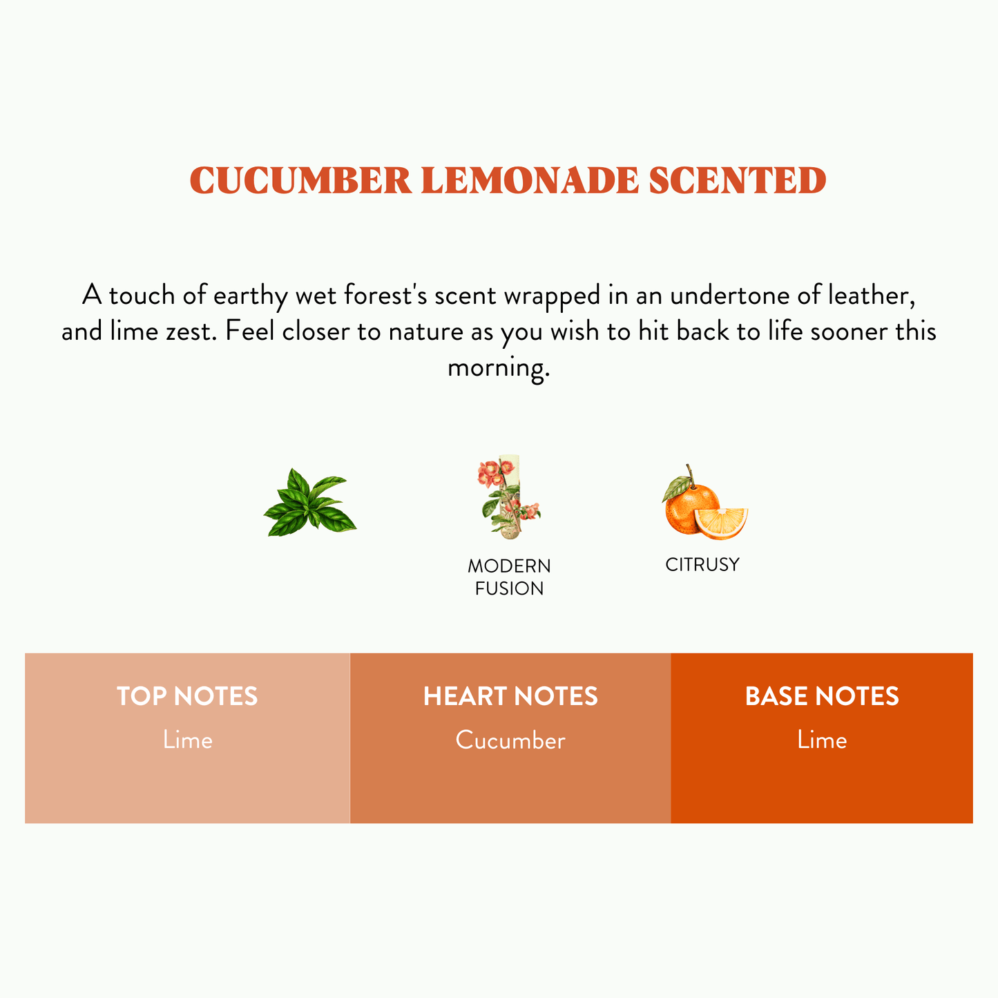 Vegans - Cucumber Lemonade Scented Candle