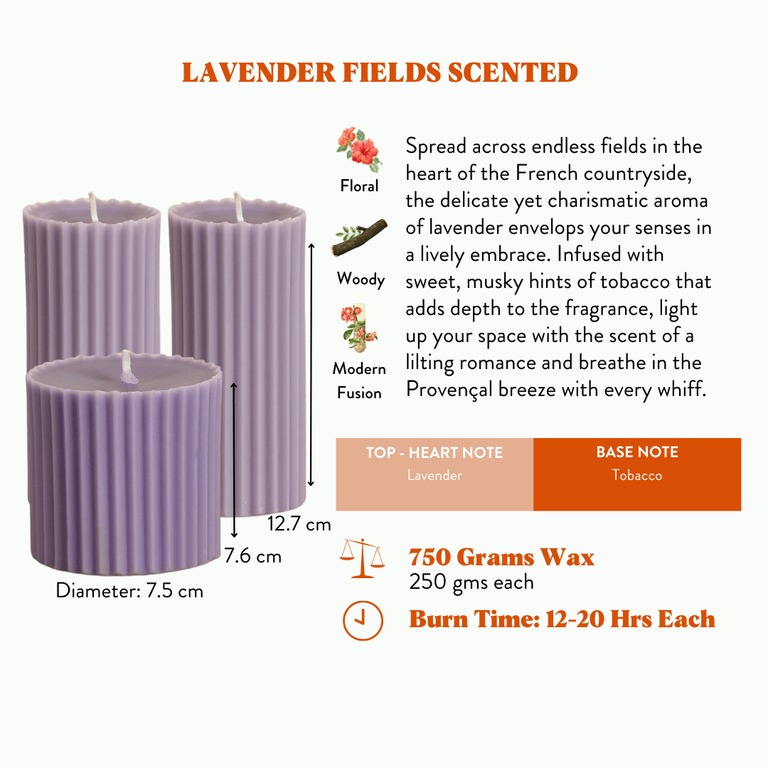 Combo of 2 'Belief' & 1 'Faith' Scented Candles - Lavender Fields Scented