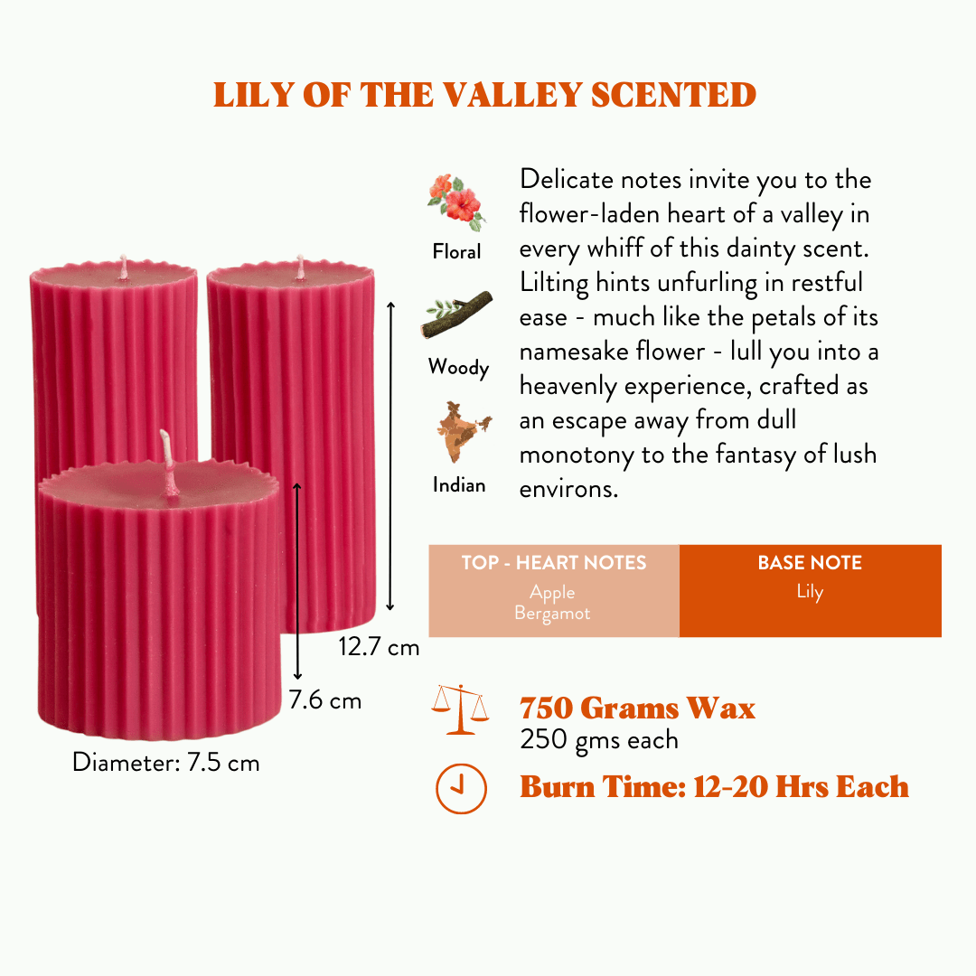 Combo of 2 'Belief' & 1 'Faith' Scented Candles - Lily of the Valley Scented