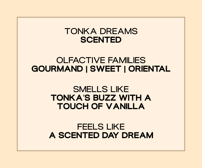 Overthinkers - Carnations Scented Candle