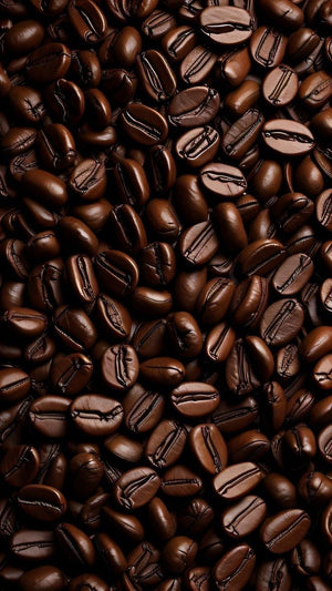 Cold Brew