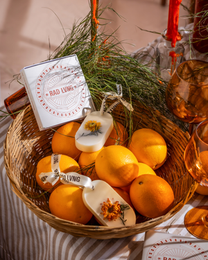 The Tangerine Thief Fragrance Bars - Set of 2