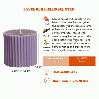 Infinity Set of 6 Lavender Candles - Lavender Fields Scented