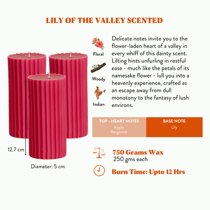 Combo of 3 Fiery Pink 'Belief' Candles - Lily of the Valley Scented