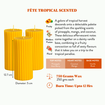 Combo of 3 Banana Yellow 'Belief' Candles - Fête Tropical Scented