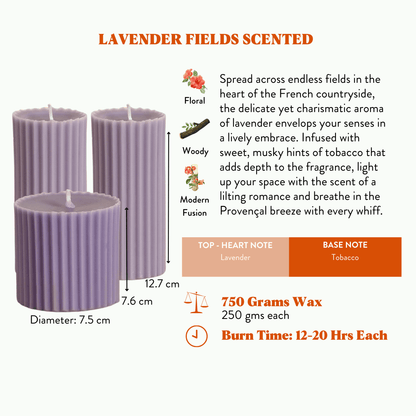 Combo of 2 'Belief' & 1 'Faith' Scented Candles - Lavender Fields Scented