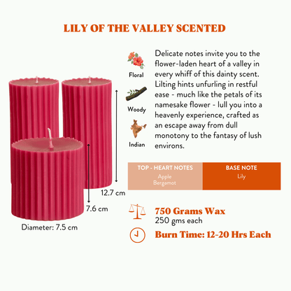 Combo of 2 'Belief' & 1 'Faith' Scented Candles - Lily of the Valley Scented