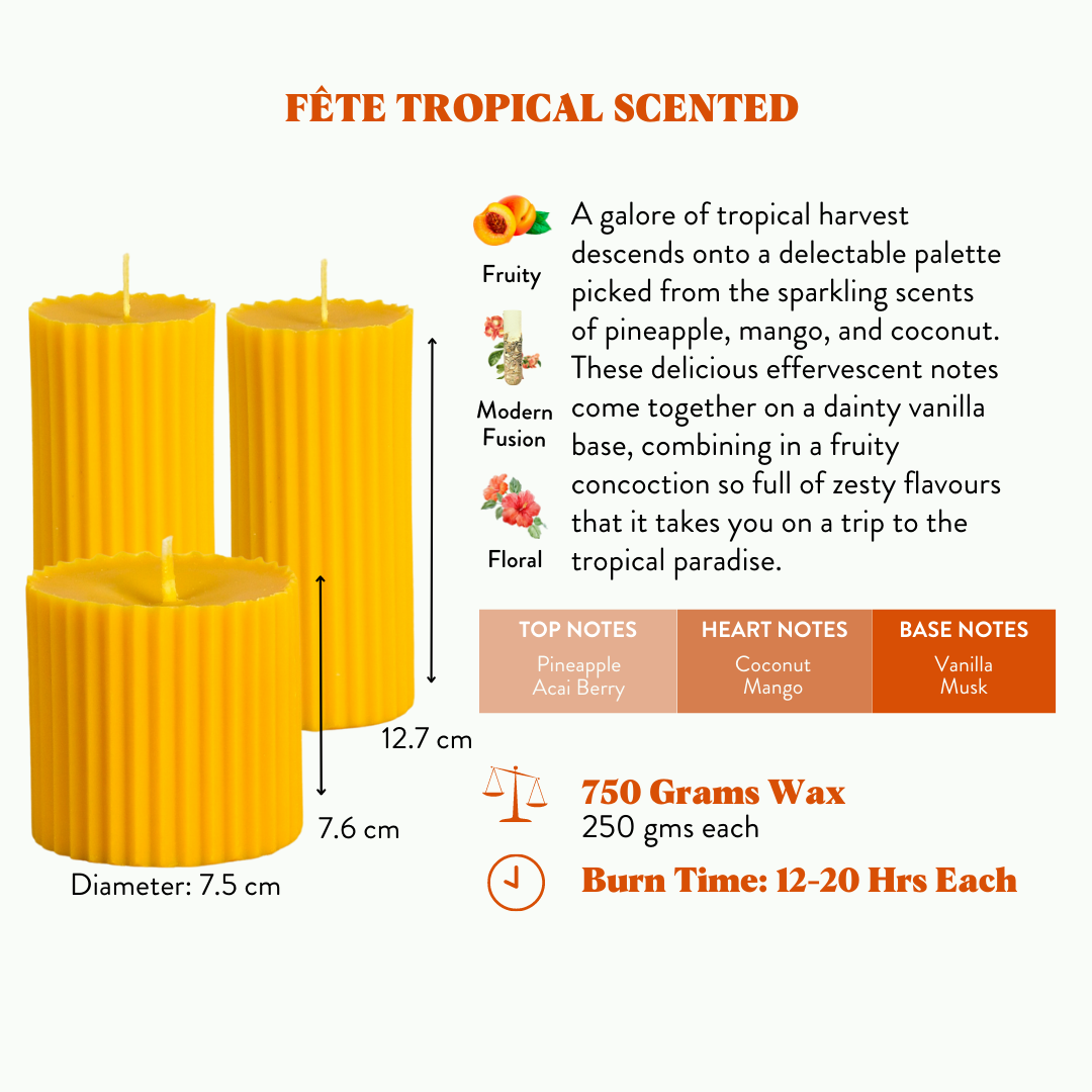 Combo of 2 'Belief' & 1 'Faith' Scented Candles - Fête Tropical Scented