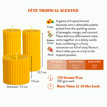 Combo of 2 'Belief' & 1 'Faith' Scented Candles - Fête Tropical Scented