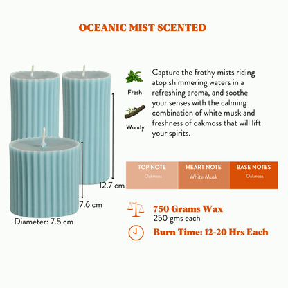 Combo of 2 'Belief' & 1 'Faith' Scented Candles - Oceanic Mist Scented